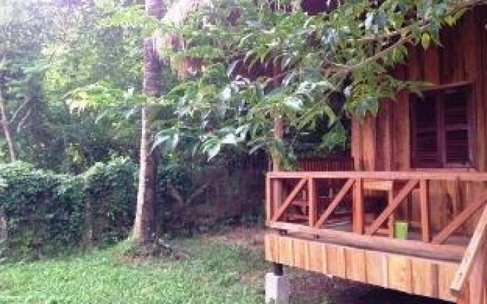 Bird of Paradise Bungalows