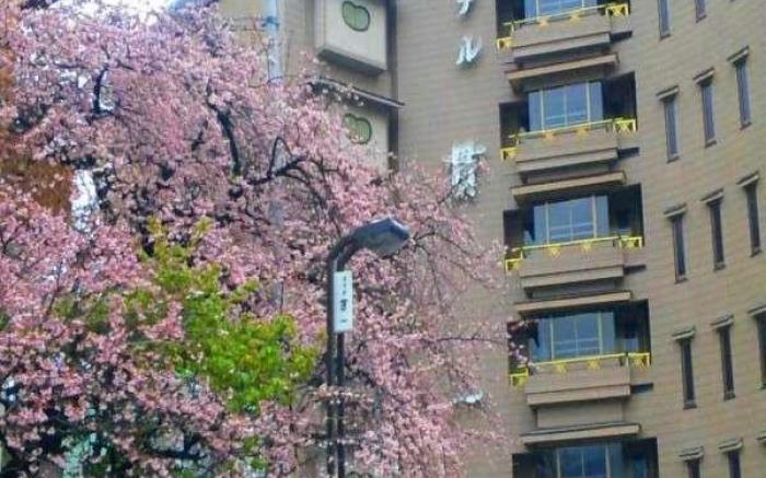 Hotel Kanichi