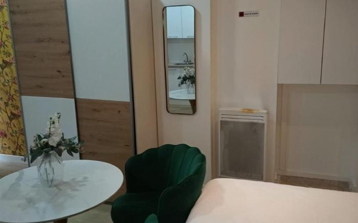 Modern Renovated studio with a touch of gilded glamour central Paris