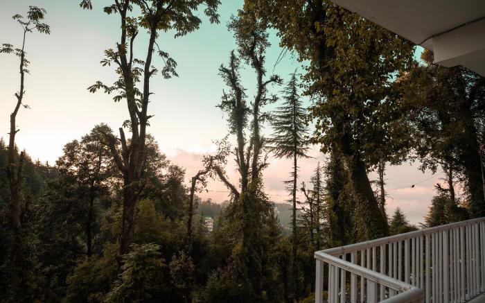 Hotel Blue Heaven- Best Hotel in Dalhousie