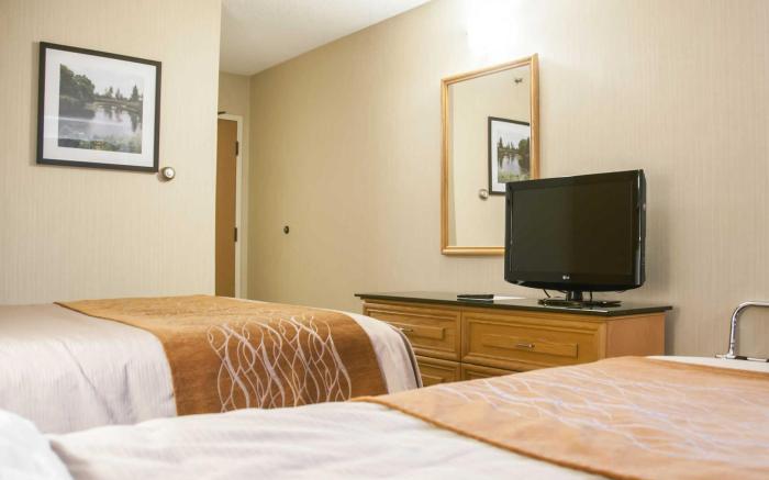 Comfort Inn South