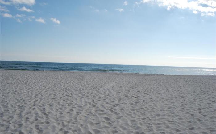 Grand Caribbean 113