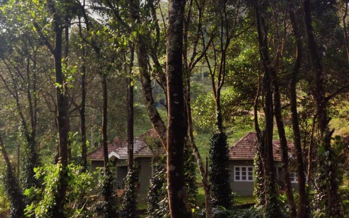 Breeze Hill Resort - 2 Bedroom Villa