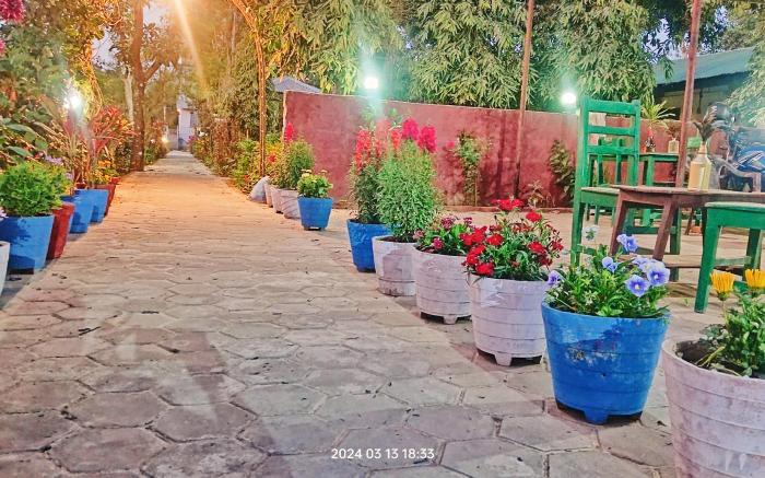Hotel Butterfly , Sauraha , Chitwan