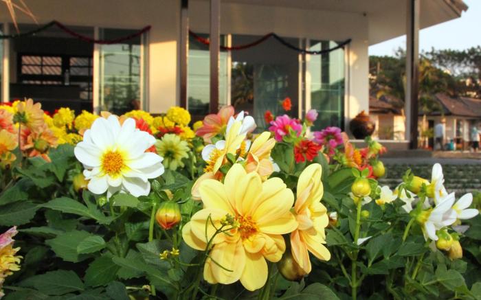 Chiang Rai Greenpark Resort