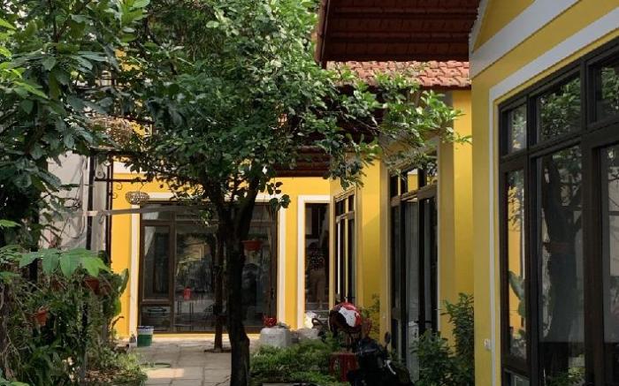 Azalea Tam coc Ninh bình 