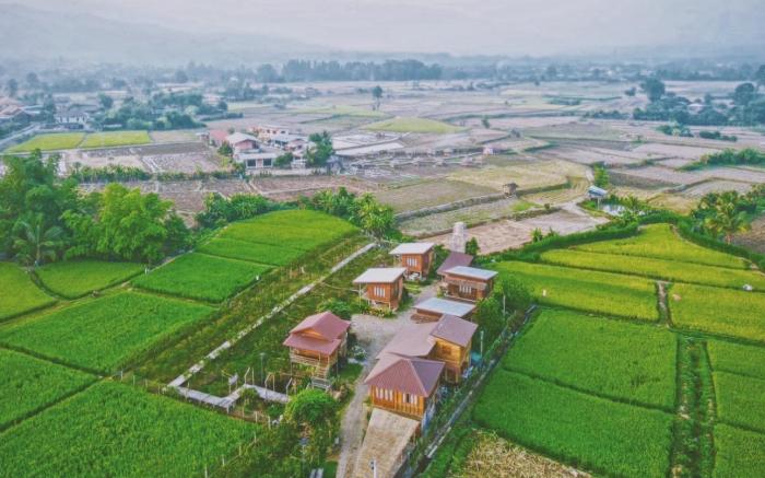 Origina Farm