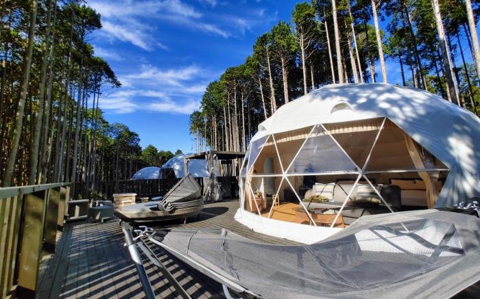 Forest Glamping - Kanade no Mori Resorts, Shizuoka, Ito