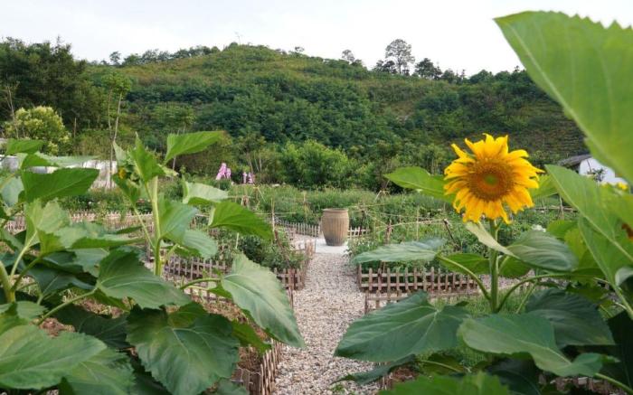 Floral Lux Hotel·Yangshan Taohua Shili Homestay