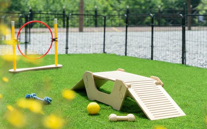 Gapyeong Chagall Spa pension