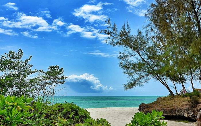 Pongwe Beach Hotel