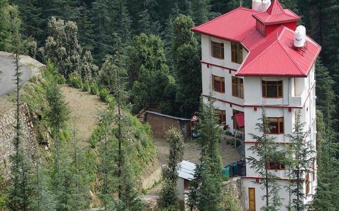 THE JUNGLE STORY - SHIMLA BY HEADQUARTER