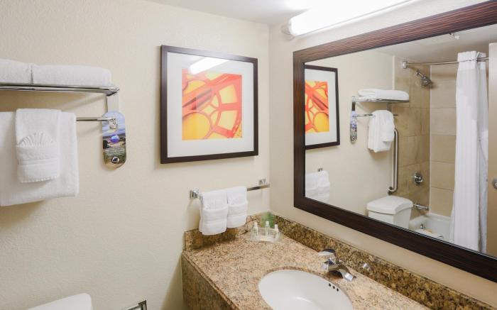 Holiday Inn Austin Midtown By IHG