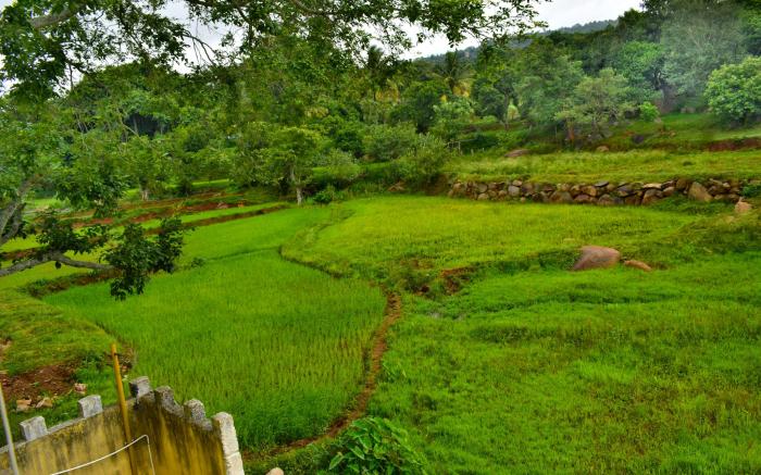 Hillfort Hotels & Resorts Yelagiri