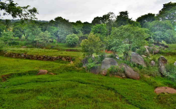 Hillfort Hotels & Resorts Yelagiri