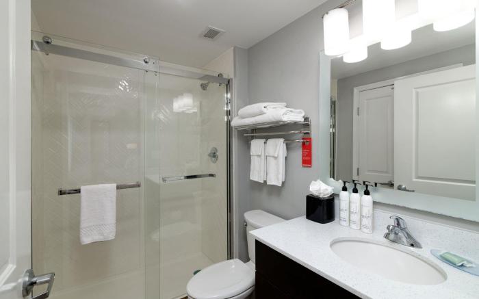 TownePlace Suites Dallas McKinney