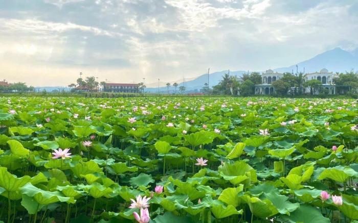 Lotus Hotel Vuon Vua Phu Tho