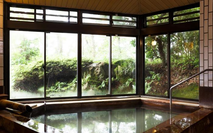 HAKONE GORA ONSEN Hotel Kasansui