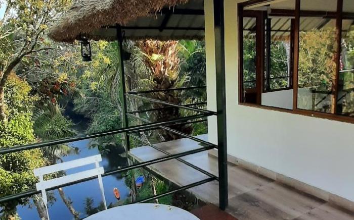 Noahs Nest Tree house