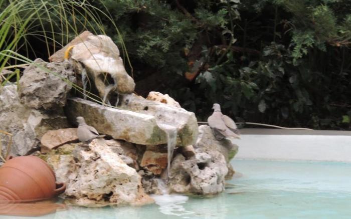 Albergo delle Terme