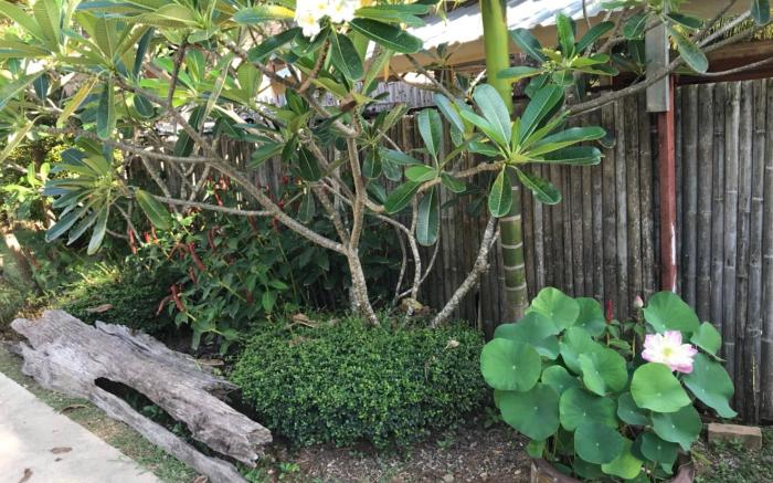 Baan Suan Rim Klong Resort