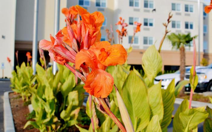 Holiday Inn Salem By IHG