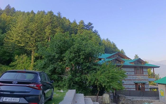 The Prunus Home