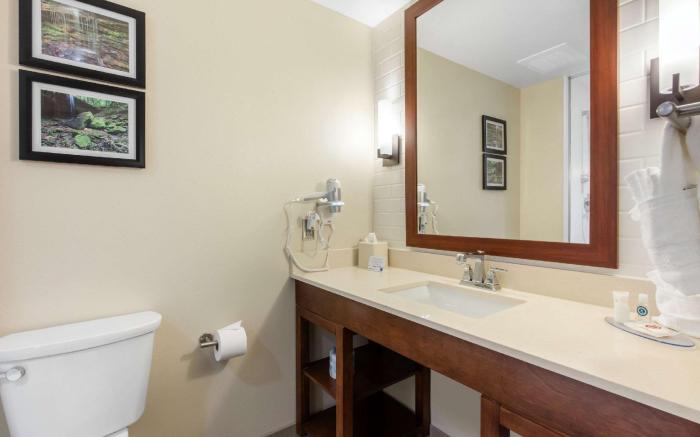 Comfort Inn & Suites At CrossPlex Village