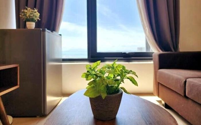 Seaview Studio Tropicana 218 Macalister Georgetown