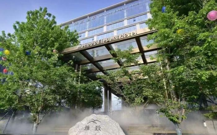 MEHOOD Elegant Hotel Xi'an Qujiang Big Wild Goose Pagoda Datang Evernight City