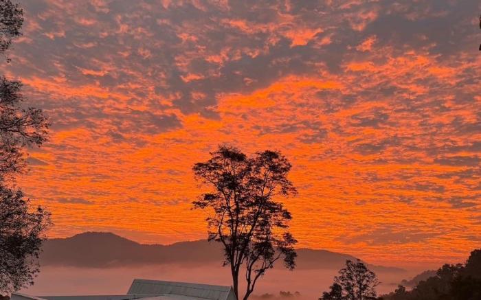 Morning Cloud Chiang Mai