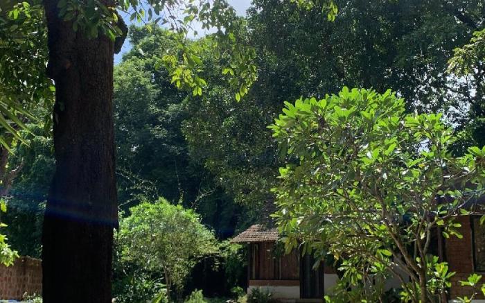 Satori Wellness : Yoga, Sauna, Ice Baths & more. 