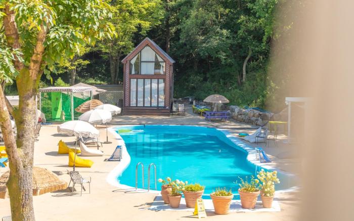 yangpyeong seojongpool pet pension