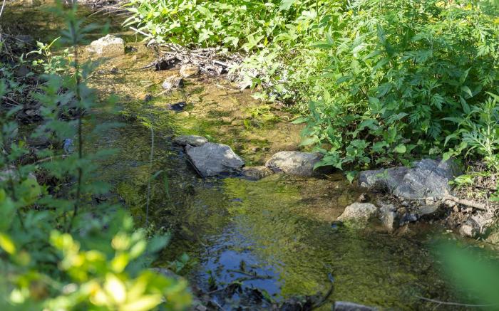 yangpyeong seojongpool pet pension