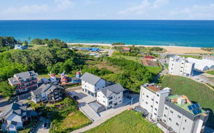 Gangneung Stay Remedy