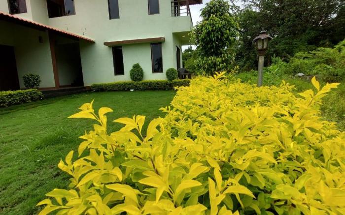 lLIF 2761 CHINTAMANI RESORT 