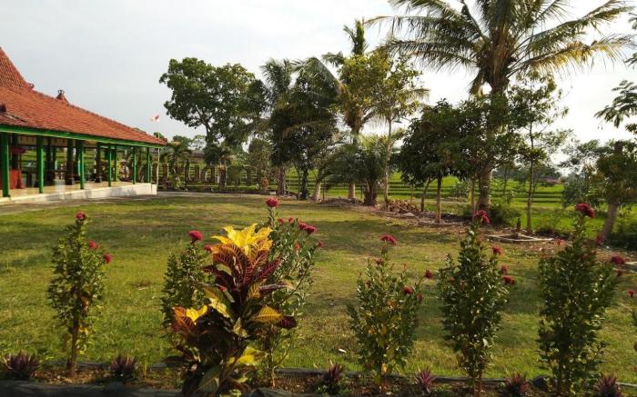 Putri Duyung Guest House