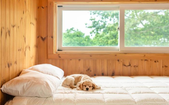 boryeong hiddenvillage dokchae poolvilla