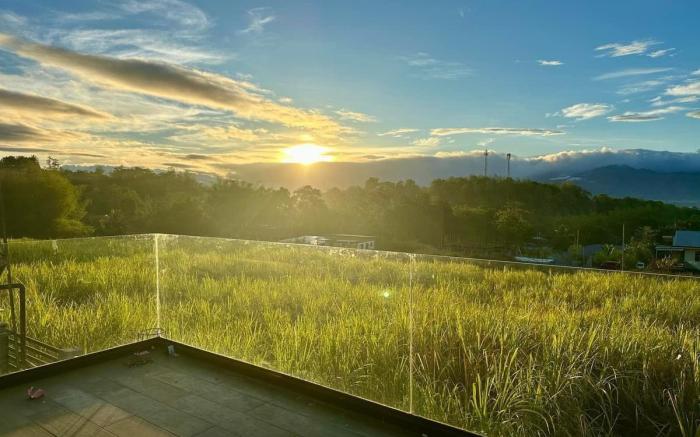 Mennen’s Glass House - Valencia