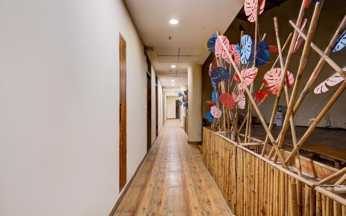 Collection O AVH RESIDENCY
