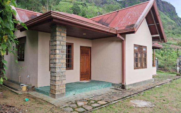 Tea Flower Adventure 