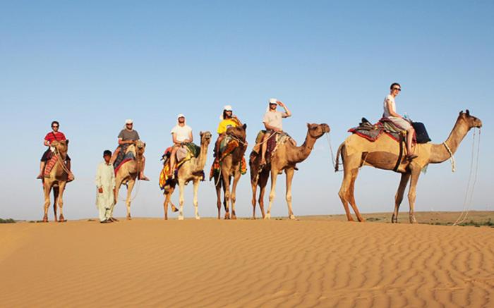 Ozaki Desert Camp & Resort 