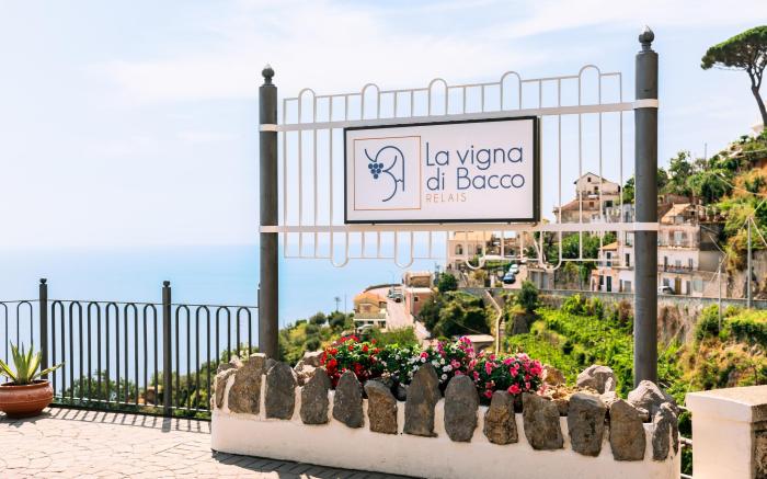 La Vigna di Bacco