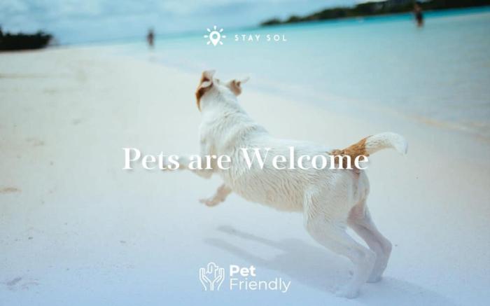 Best Stay  Rooftop Pool Hollywood Beach Board   walk