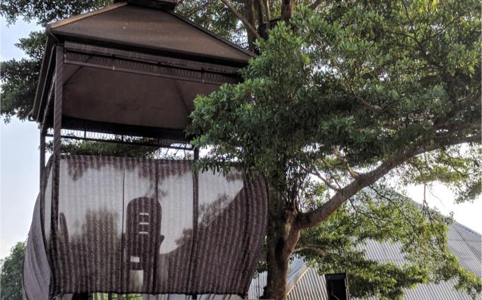 NatureMark Gallery and Guest House