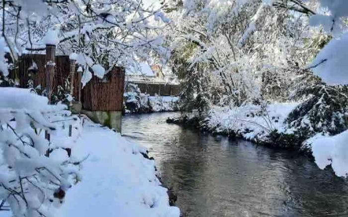 Between town and country - garden with river