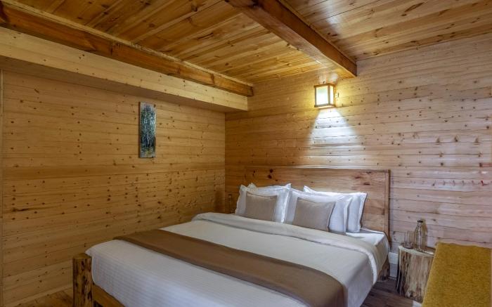 ELIVAAS 1 BHK Premium Cottage with Sauna - Everly