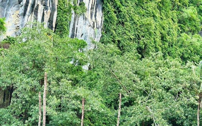 Mayad Boutique Hotel El Nido