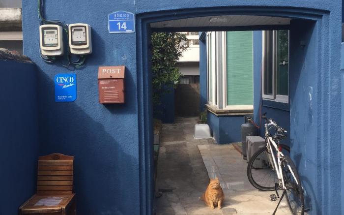 Jeju Guesthouse