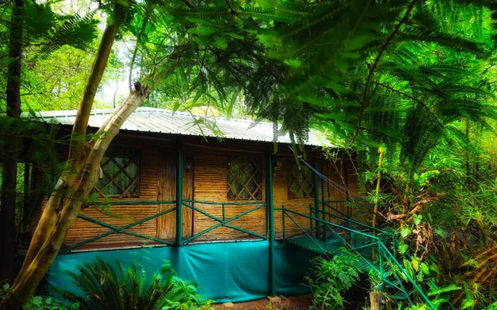 Devigiri Homestay and Resort